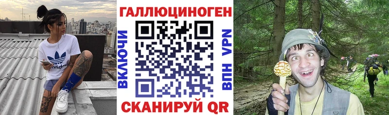 Псилоцибиновые грибы Psilocybe  Никольское 